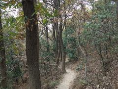 -紫金山山顶公园