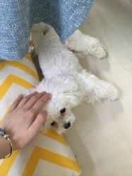-肌理言健康美肌驻颜所