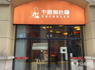 不露猫色沉浸猫咖馆  这绝对是我见过的最大的猫咖馆