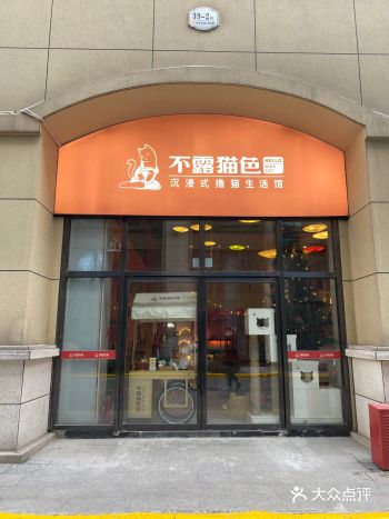 不露猫色沉浸猫咖馆  这绝对是我见过的最大的猫咖馆