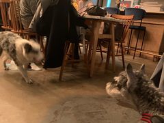 -the rug 飞毯 (朝阳公园店)
