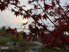 -西安博物院