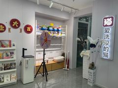 -爱洗澡的猫(望京店)