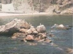 iphone_upload_pic-海驴岛(荣成市)