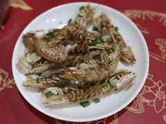 -红灯笼龙凤饭店(宁波老字号店)