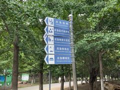 -长白岛森林公园