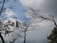 -梧桐山风景名胜区