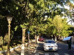 宁武关路-八大关景区