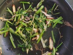 -阿巧茶庄