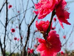 -白水带风景区体育公园