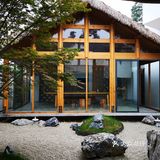 茶园发呆