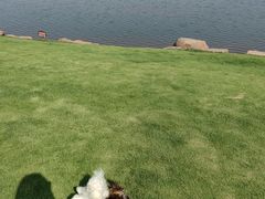 -幸福湖国际会议中心