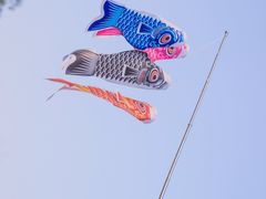-金海湾滨江公园