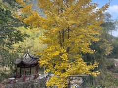 -众神白水涧景区