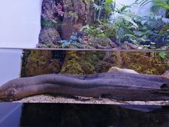 -上海海洋水族馆