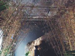 -無用生活空间(北京店)