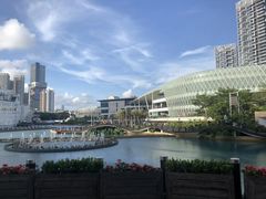 -润园四季椰子鸡火锅(海上世界店)