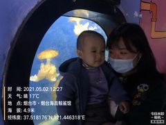 -烟台海昌鲸鲨海洋公园