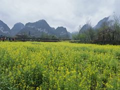 -靖西鹅泉风景区