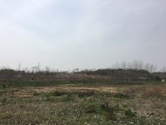 -红山体育乐园