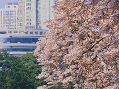 -红星桥(地铁站)