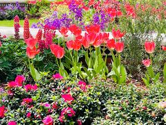 -上海安亭别墅花园酒店