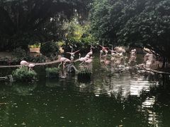 -九龙公园