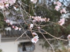 -天津水上公园