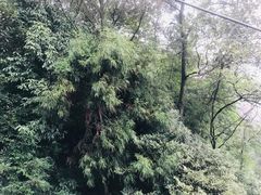 -缙云山索道售票处