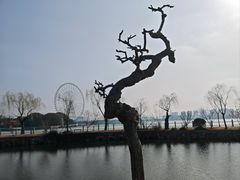 -无锡蠡湖国家湿地公园-蠡园