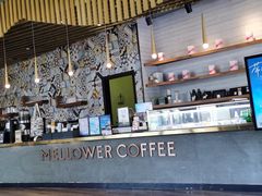 -麦隆咖啡Mellower Coffee(弘基时尚生活中心店)