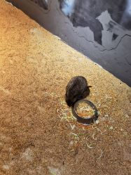 -酷嗒动物文化乐园(cutezoo西溪乐天城店)