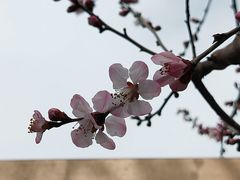-和平门菜市场