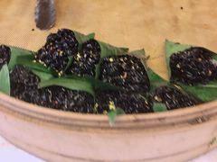 乌米饭-锦记糕点铺