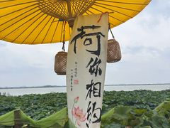 -七的湖·晚芳亭·阳澄湖农家菜·大闸蟹(莲花岛店)