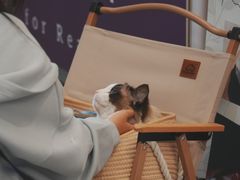 -成都银泰中心in99