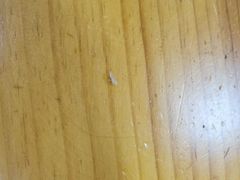 用餐区-真利味·脊骨火锅·正宗韩国料理(韩乐坊店)