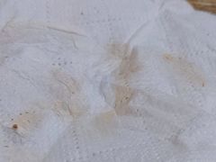 -三中高皇羊肉馆