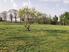 -汉长安城未央宫国家考古遗址公园