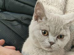 -纳吉亚猫专科动物医院·北北分院