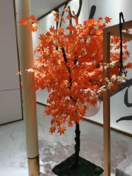 -盘子女人坊古装写真摄影(天津总店)