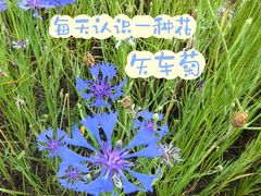 -大宁公园