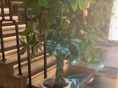 -新紫霞养生·影院足道·SPA(金山区店)