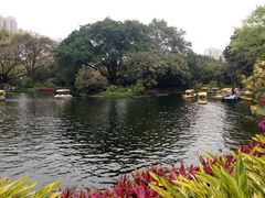 -晓港公园