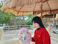 -珠海海泉湾度假区