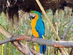 -云南野生动物园