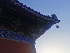 -洛阳白马寺