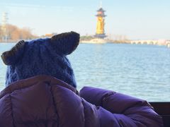 -溱湖国家湿地公园