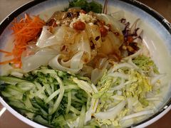 东北拉皮-大眼锅贴饺子(河西店)