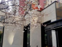-玛格萝妮比萨屋(四平店)